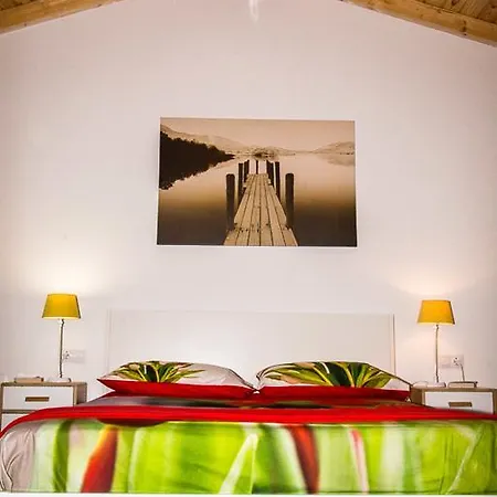 Groovy Apartment